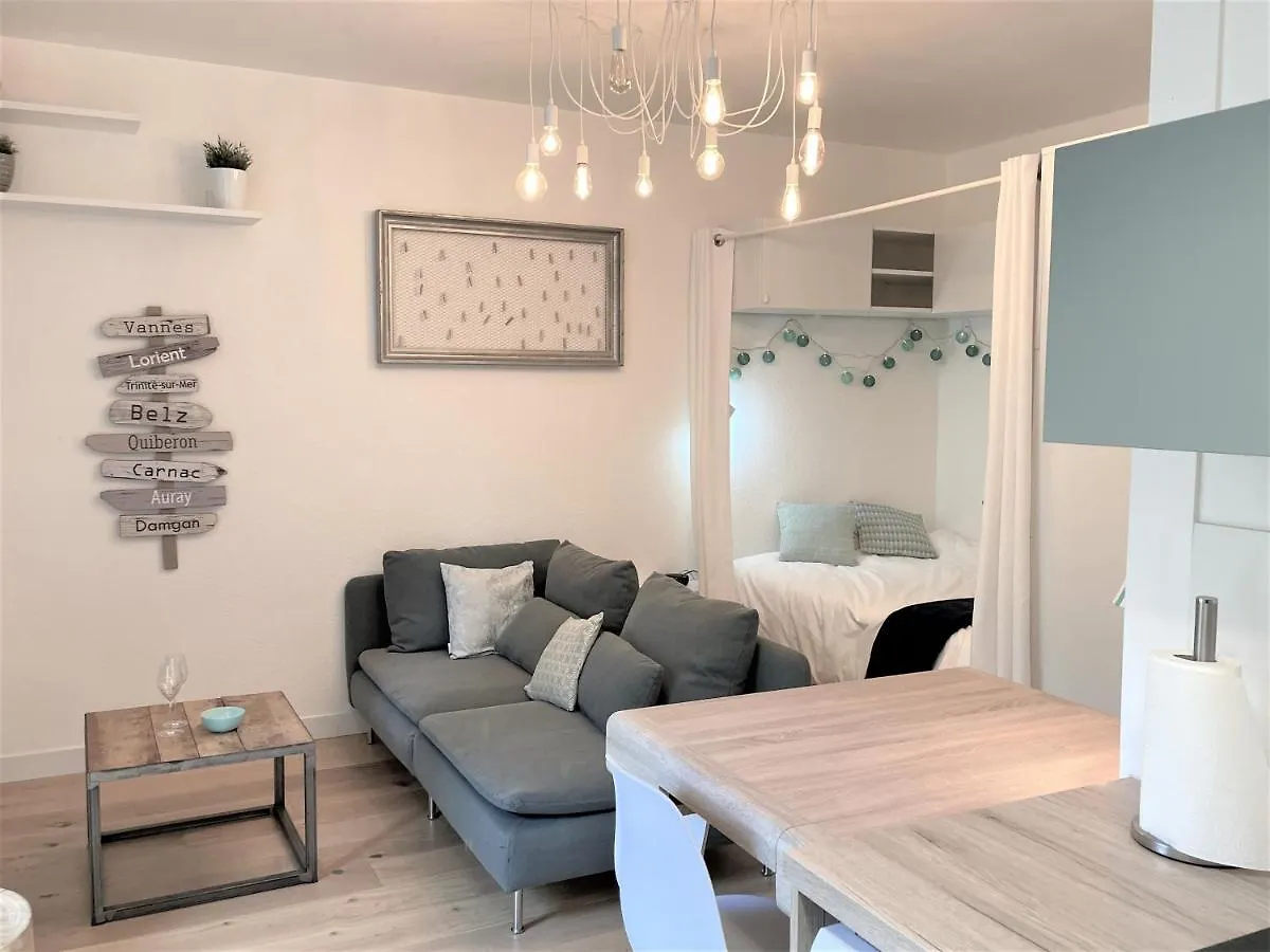Charmant Studio Au Centre De La Ville Vannes Apartment